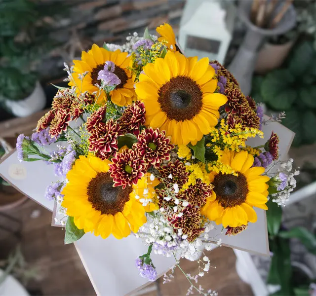 image article post 1