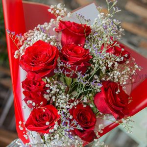 article rosas cascada
